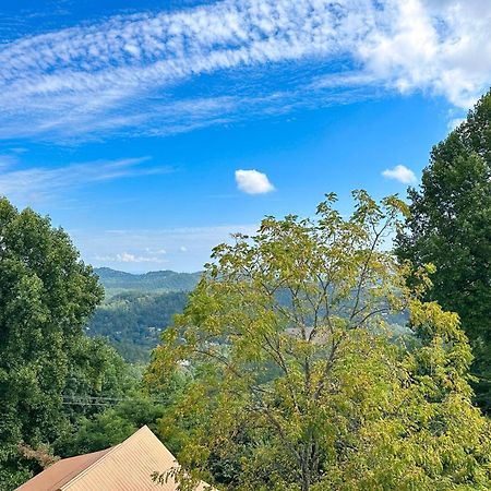 Little Black Bear Retreat Pigeon Forge Buitenkant foto
